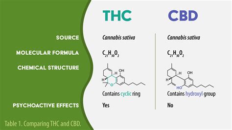 THC vs CBD: Uses, Side Effects, and Structure | Lab Manager