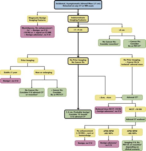 Management Of Incidental Adrenal Masses A White Paper Of The ACR