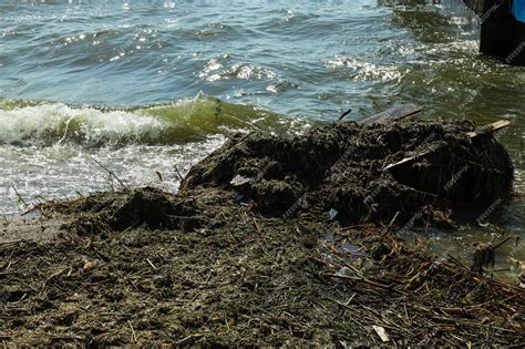 Premium Photo | Pollution of the water body with plastic waste and garbage