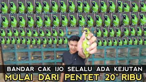 SIAPA SANGKA KIOS INI BERANI HARGA OBRAL DARI PENTET 20 RIBU TLEDEKAN