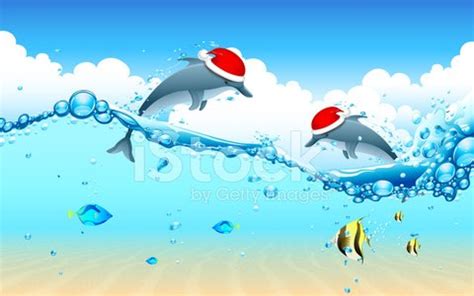 christmas dolphin clipart 19 free Cliparts | Download images on ...