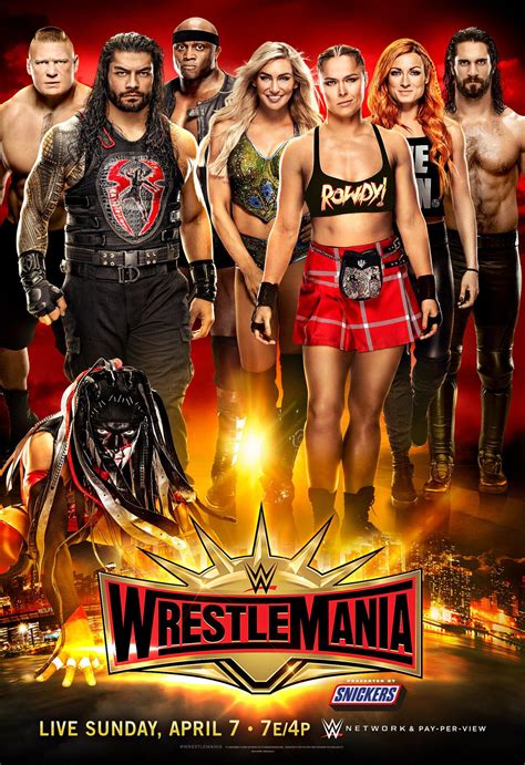 Wrestlemania 25 Poster