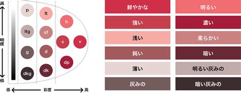 色の調子【トーン】を利用した色選び カラー・リテラシーcom