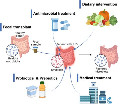 Gut Microbiometargeted Interventions In Humans With Ischemic Heart