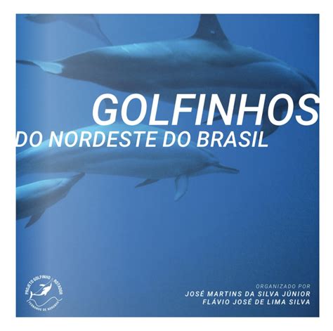 Golfinhos Do Nordeste Do Brasil Projeto Golfinho Rotador