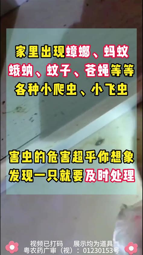 本地又到了虫子泛滥的爆发期！不想跟虫子通吃同睡的赶紧收藏保命 抖音