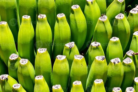 green banana close   stock photo  vecteezy