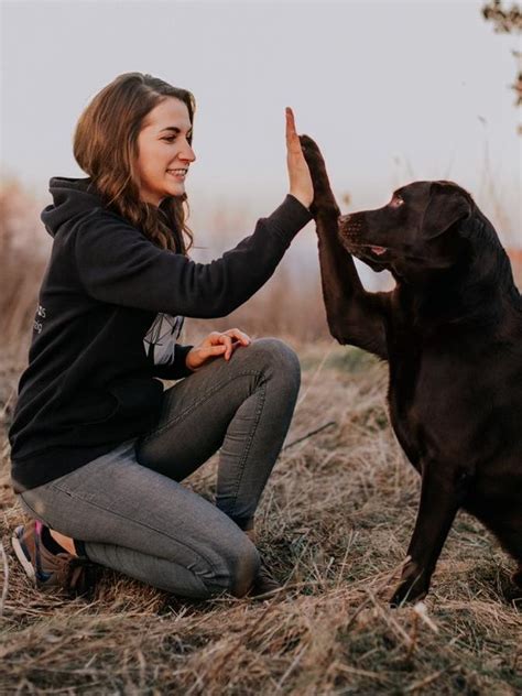 Fachübergreifende Therapie Hunde Helfen Heilen