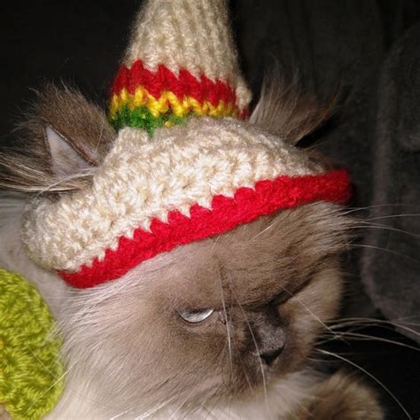 Cat Sombrero Sombrero For Cats Sombrero Hat With Ear Holes For Cats