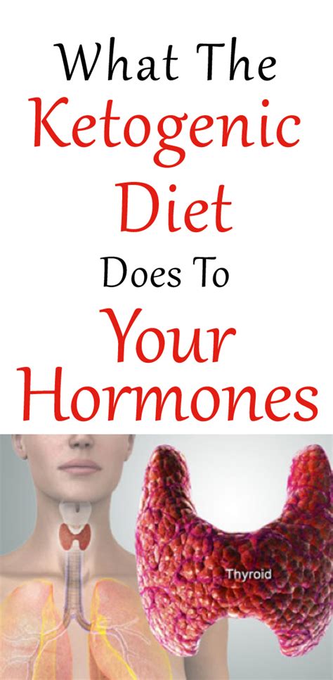 What The Ketogenic Diet To Your Hormones Upgraded Health