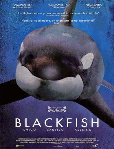 Blackfish Awesome Documentary About The Story Behind The Dead Of A