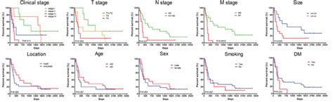 Kaplan Meier Survival Analysis For Pancreatic Ductal Adenocarcinoma