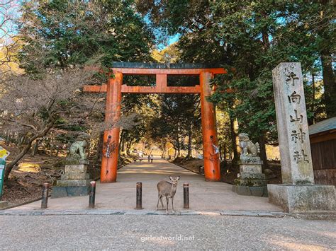 Nara Day Trip Itinerary Things To Do In The Capital Of Ancient Japan