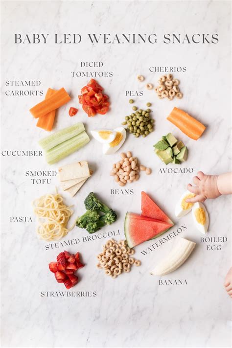 Transitioning To Solids Annies LED Weaning Progress Jillian Harris