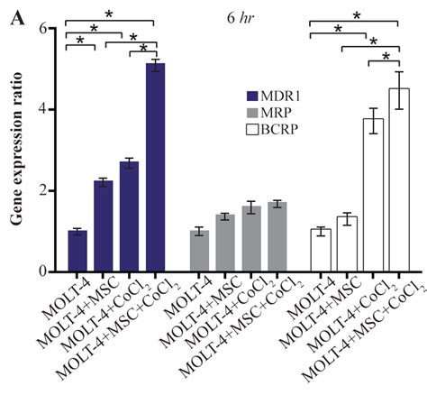 A Real Time Pcr Data For Molt Cells Mdr Mrp And Bcrp Genes