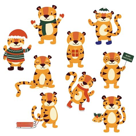 Conjunto De Vectores De Tigres De Invierno De Dibujos Animados En