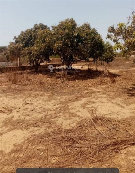 Terrains Terrain 150 m2 Lac Rose Mbeye au Sénégal CoinAfrique Sénégal