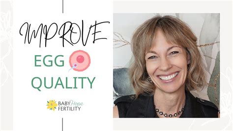 How To Improve Egg Quality For Optimal Fertility Healthy Pregnancy