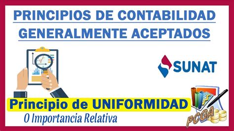 Principios De Contabilidad Principio De Uniformidad O Significancia