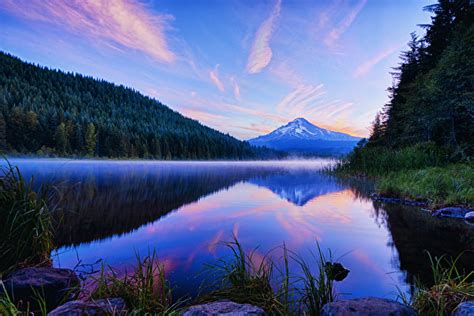 Fondos de Pantalla 600x400 EE UU Montañas Bosques Lago Tarde Trillium