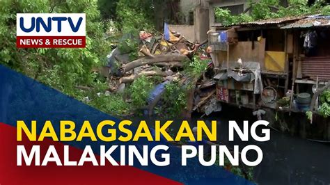 Malaking Puno Ng Balete Nabuwal At Bumagsak Sa Ilang Bahay 2 Patay