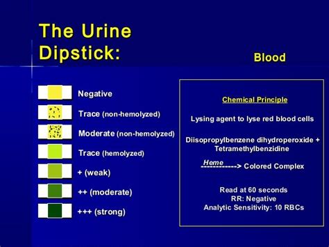 leukocytes in urine trace