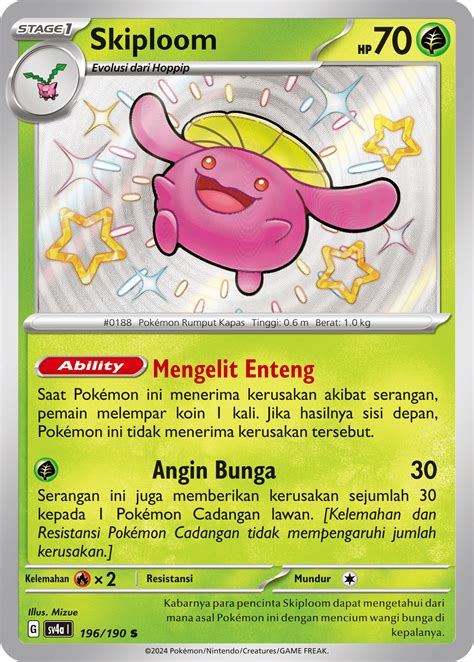 skiploom situs web pelatih