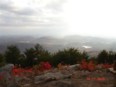 hotels near wild animal safari pine mountain ga 8