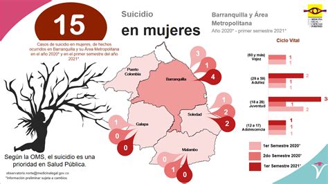 Observatorio De Violencia Contra La Mujer Instituto Nacional De