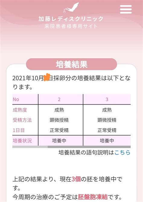 【不妊治療振り返り】klc 採卵②回目pgt A 受精結果 3度目婚 42歳からの妊活 45歳11ヶ月でママに