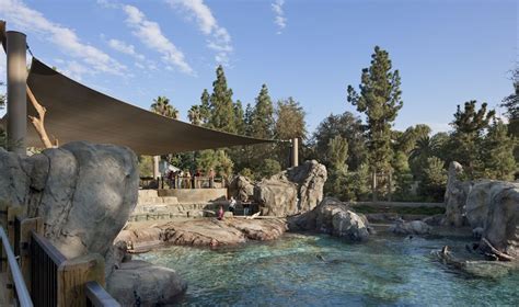 Fresno Chaffee Zoo Sea Lion Cove Matt Construction