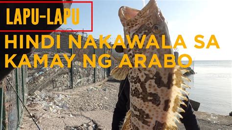 FIRST TIME NAMIN MAMIMINGWIT SA LUGAR NATO ANG DAMING ISDA YouTube