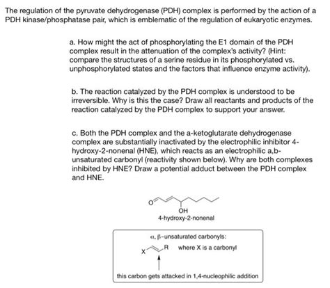 Solved The regulation of the pyruvate dehydrogenase (PDH) | Chegg.com