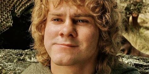 Lord Of The Rings 5 Reasons Merry Was More Useful 5 Why It Was Pippin