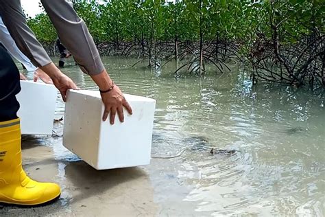 Foto 80 Persen Cadangan Timah Ada Di Laut Pemerintah Beri