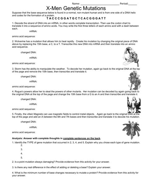 Gene And Chromosome Mutation Worksheet E Street Light