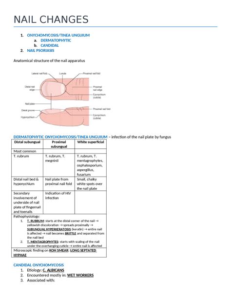 Dermatology nail changes - Docsity