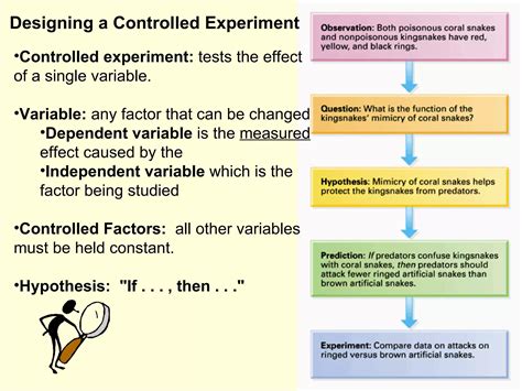 Why Controlled Experiment Meaning Is Vital For Data Accuracy - RYZE Superfoods