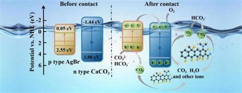 废蛋壳衍生的 Agbr Caco3 异质结构在可见光下高效光降解抗生素separation And Purification