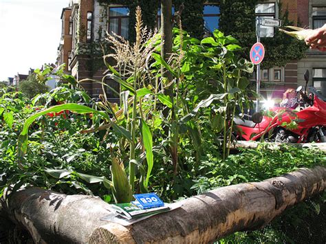 Guerrilla Gardening Guide World Information