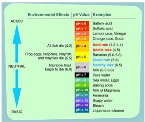 How To Lower Ph In Well Water At Frederick Valez Blog