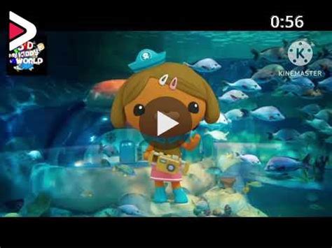 The Finger Family OCTONAUTS Family Nursery Rhyme OCTONAUTS Finger Family Songs دیدئو dideo