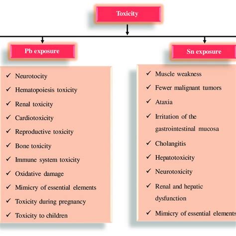 Schematic Diagram Addressing The Effects Of Exposure To Heavy Metals Download Scientific