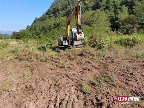 永定区谢家垭乡：全力推进耕地属性恢复工作 牢牢守住耕地保护红线乡镇张家界站红网