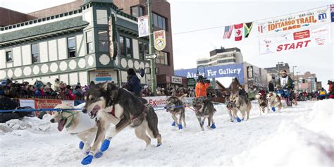 Winter activities in Anchorage Alaska | Visit Anchorage