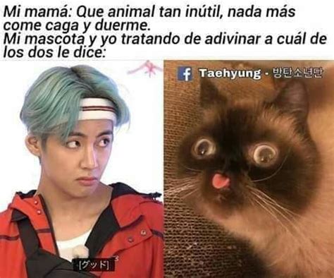 Obsesion Jeon Jungkook y TN Capítulo 1 Bts memes caras Bts