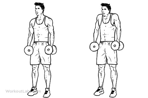 Build Massive Shoulders With This Dumbbell-Only Workout