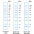 Biotechrabbit Tricolor Protein Ladder Kda Protein