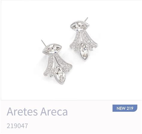 Pin De Ziete Detalles Em Aretes Plateados