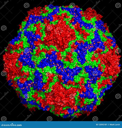 Common cold virus stock illustration. Illustration of biology - 12092181